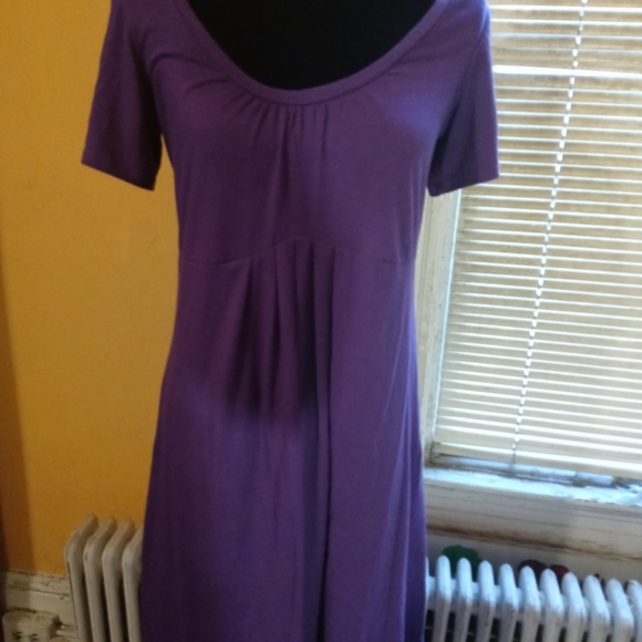 purple dress new york and company